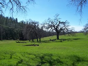 cal state engineering services - soil testing